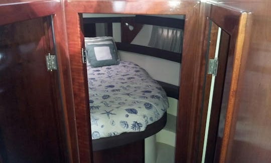 Spacious Motor Yacht for 14 people in Dominicus, La Altagracia