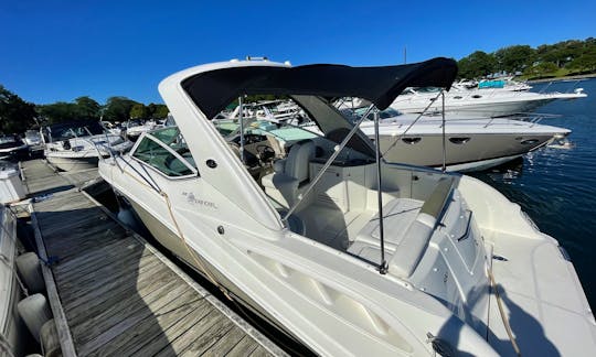 Enjoy Chicago! Beautiful 31' Sea Ray Sundancer - Perfect for any Occasion 