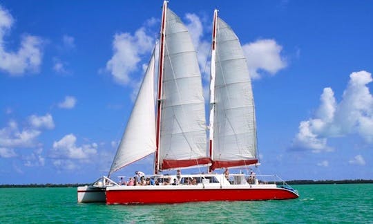 Large Party Catamaran for 125 people available in Miami