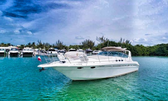 43 ft Sea Ray Yacht Private Charter / Capacity 15 people