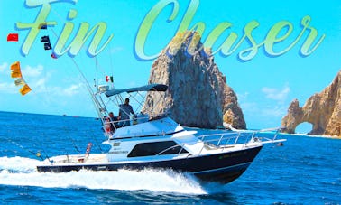 Fin Chaser, 33ft Blackfin Sportfisher