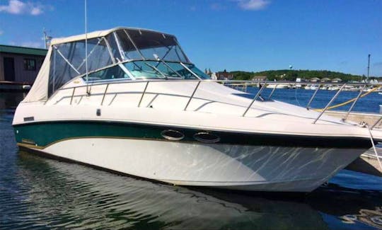 2000 Crowline 28ft Powerboat for Charter in Toronto