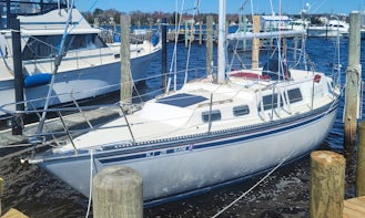Captained Sailing Adventure in Lacey Township