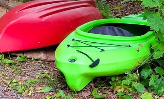 The two kayaks (paddles & life jackets included)
