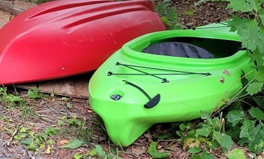 The two kayaks (paddles & life jackets included)