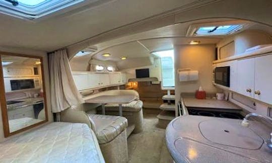 34’ Sea Ray Sundancer Yacht for Charter Experience in Miami  Best of 2021 Award!