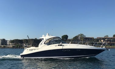 41' Sea Ray Sundancer Motor Yacht for Charter in Chicago, Illinois