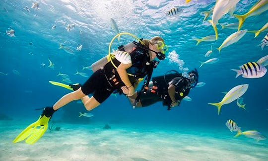 Two dives for certified divers in Fujairah
