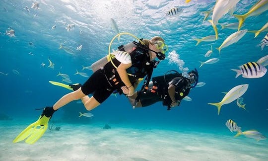 Two dives for certified divers in Fujairah