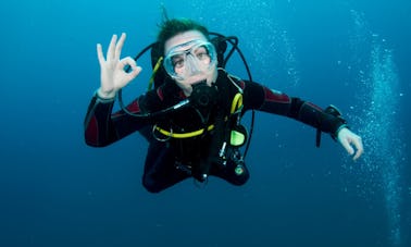 Curso PADI en aguas abiertas/Licencia de 18 m/Dibba Al Fujairah