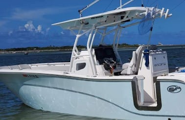 Sea Fox 288 Commander for Charter in Ponce Inlet