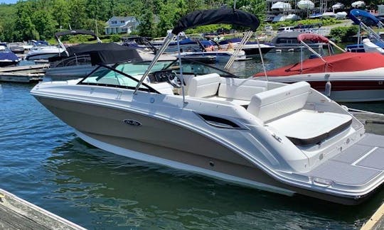 2019 Sea Ray SDX250 for Day Cruising