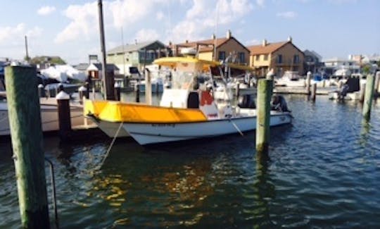 Charter this 26ft Center Console Catamaran Fishing Boat in Brigantine, New Jersey