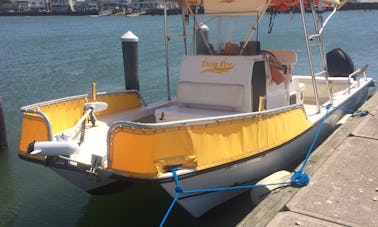 Alquile este barco de pesca en catamarán con consola central de 26 pies en Brigantine, Nueva Jersey