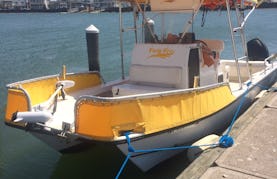 Charter this 26ft Center Console Catamaran Fishing Boat in Brigantine, New Jersey