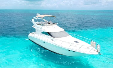 Private Sea Ray 43' Flybridge Yacht for Rent in Cancun up to 15 pax