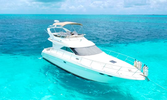 Private Sea Ray 43' Flybridge Yacht for Rent in Cancun up to 15 pax