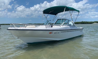 Bowrider Boston Whaler de 17 pies para 4 personas en Nueva Esmirna