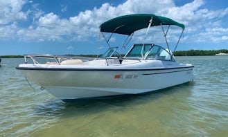 17' Boston Whaler Bowrider for 4 People in New Smyrna