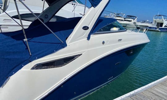 Experience Lake Michigan - 2018 Luxury 32' Sea Ray Motor Yacht for Charter in Chicago, IL
