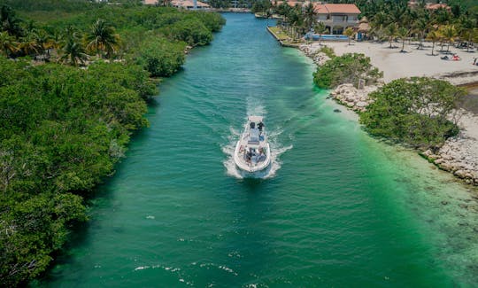 NEW 33’ Piratas TOO | Boat Rental | Riviera Maya