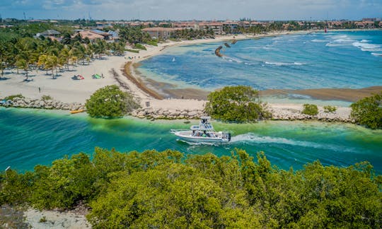 NEW 33’ Piratas TOO | Boat Rental | Riviera Maya