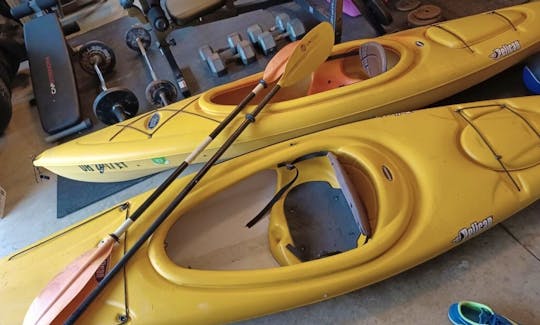 Pair of Pelican Kayaks for Rent in Sheffield Lake