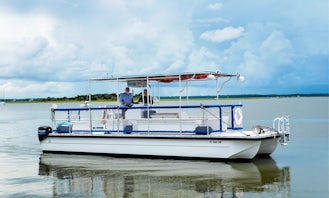 2 Hour Nature/Wildlife Private Boat Tour in Amelia Island, Florida