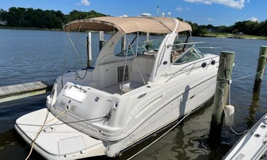 Alquila este 300 Sea Ray Cuddy Cabin Cruiser en Washington, DC