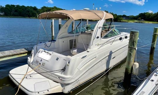 Rent this 300 Sea Ray Cuddy Cabin Cruiser in Edgewater, MD