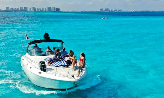 Amazing 46ft Sea Ray for Charter in Cancún 16 ppl min 4 hours
