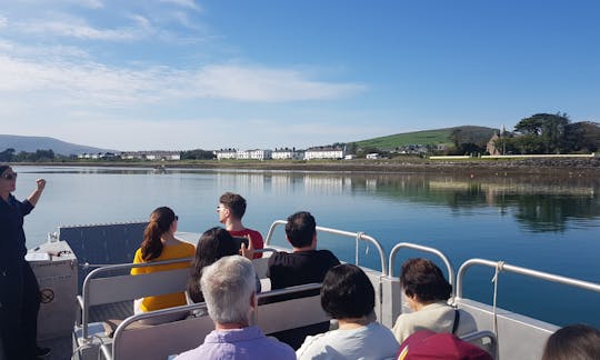 Valentia Island Boat Tours | Skellig Michael Boat Tours | Wildlife Eco Cruises