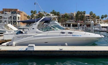 Location de yacht SeaRay 320 à Cabo San Lucas