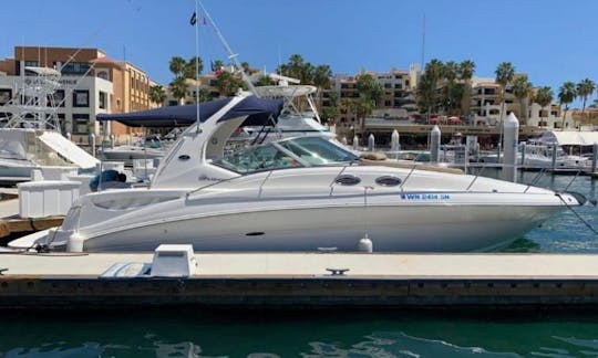 SeaRay 320 Yacht Charter in Cabo San Lucas