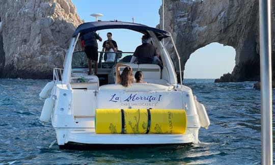 SeaRay 320 Yacht Charter in Cabo San Lucas