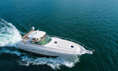 Luxuoso Sea Ray de 52 pés no Lago Travis!