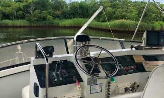 Carver Yacht in Bayport for up to 12 people