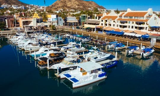 La Gringa 34' Catamaran - Private Chartered Tours - Cabo San Lucas