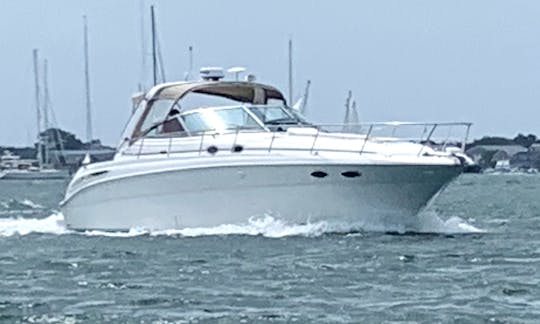 Sea Ray 380 Sundancer Cape and Islands