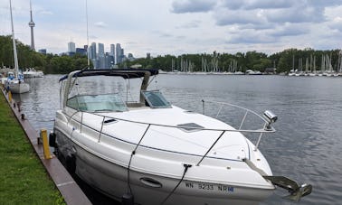 Cruzeiro pelo horizonte de Toronto