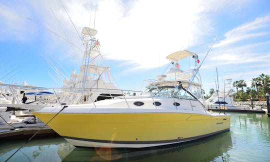 38ft Wellcraft Coastal Fishing and Cruising in Baja California Sur