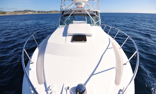 38ft Wellcraft Coastal Fishing and Cruising in Baja California Sur