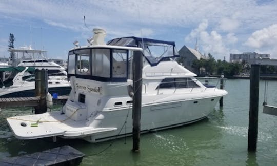 Yacht à moteur de 46 pieds avec Flybridge à Miami Beach