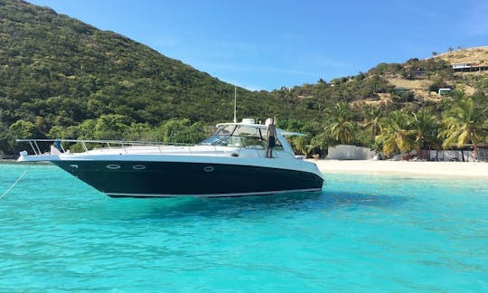 米領バージン諸島、セントトーマス島のシーレイ豪華ボートチャーター（12名様）