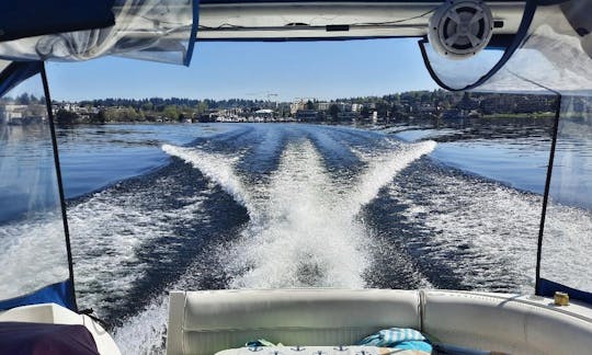 Location avec capitaine sur des yachts de croisière de 39 pieds à Kirkland, Washington