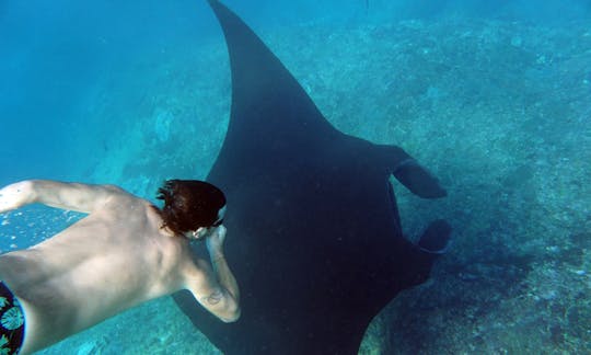 Snorkeling with Manta Rays in Bali. Starting price for the boat charter.