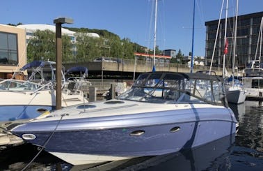 Beautiful Cobalt 33ft Perfect for a stroll on the water