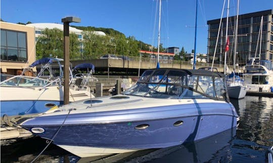 Beautiful Cobalt 33ft Perfect for a stroll on the water