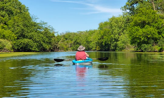 10' Pelican Trailblazer Recreational Kayaks for rent in Lake Bluff