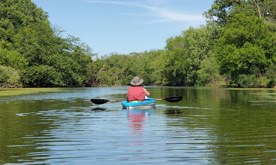 10' Pelican Trailblazer Recreational Kayaks for rent in Lake Bluff